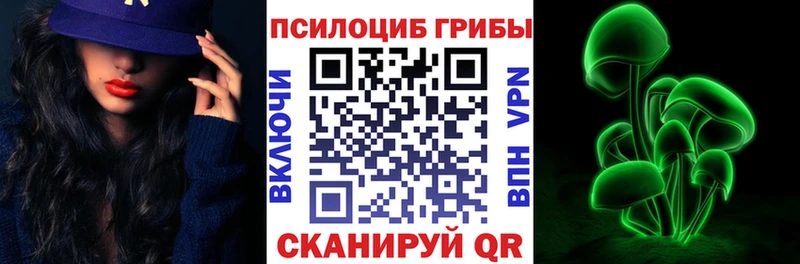 мега tor  где купить   Ногинск  дарк нет телеграм  Галлюциногенные грибы Psilocybine cubensis 